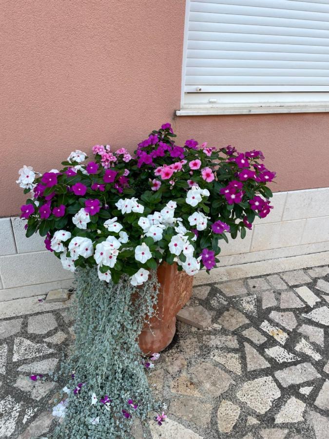 ホテル Apartman Jukic マリナ エクステリア 写真