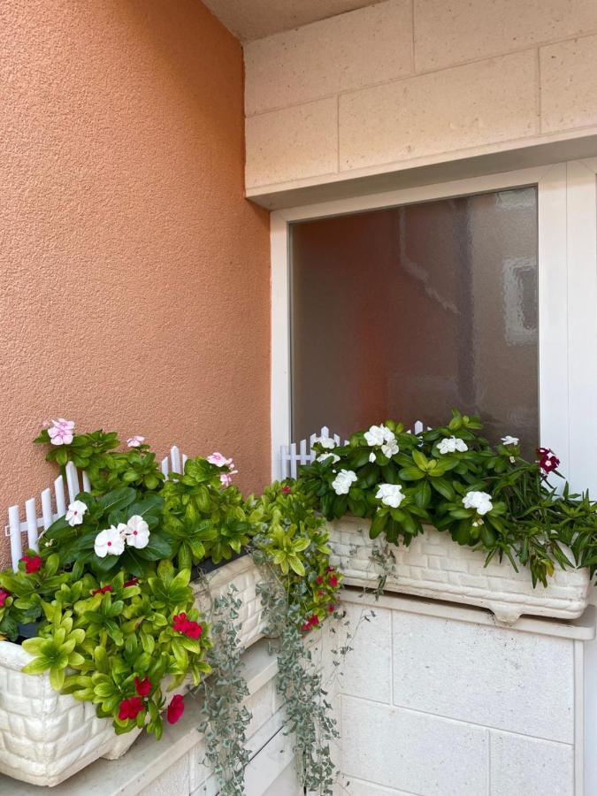ホテル Apartman Jukic マリナ エクステリア 写真
